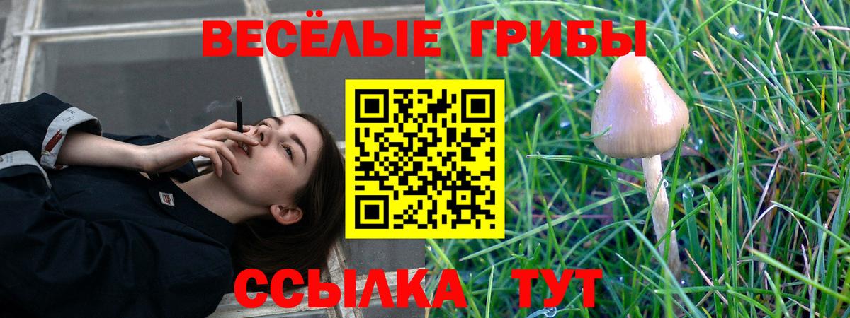 как найти закладки  Псилоцибиновые грибы мухоморы  Псилоцибиновые грибы Psilocybe  Вход с VPN  Алапаевск 