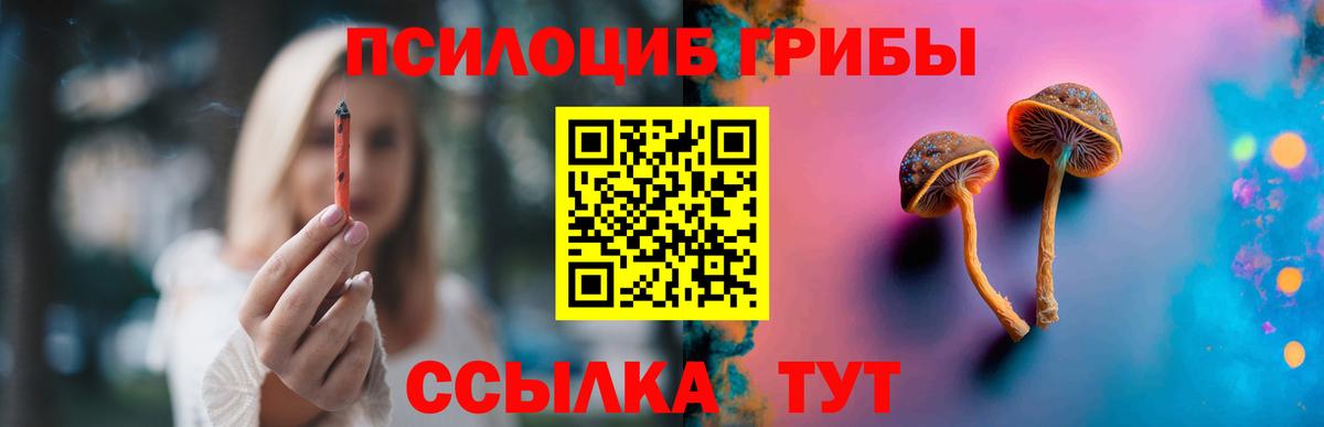Псилоцибиновые грибы Cubensis Алапаевск